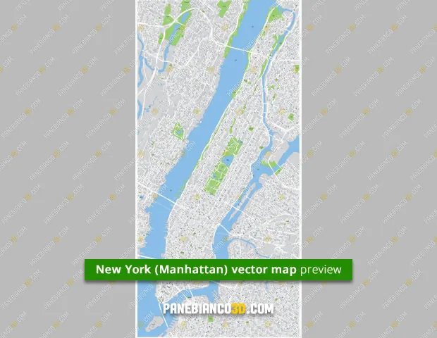 Anteprima mappa New York vettoriale